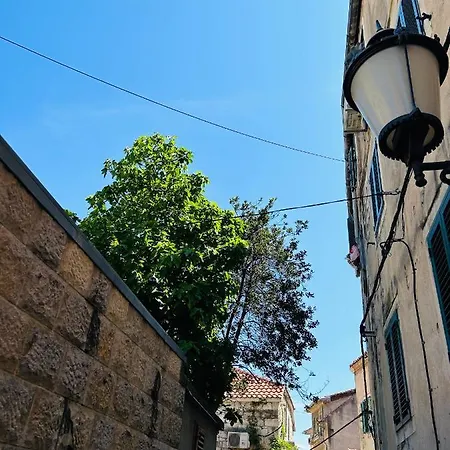 Arapova